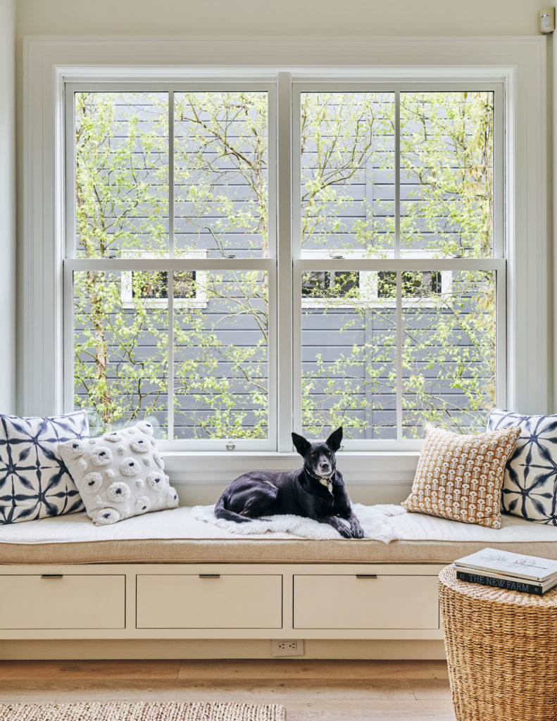 dog on window seat in San Francisco home