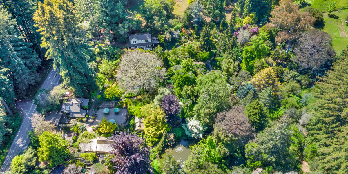 An Iconic Garden Is for Sale: Why I Dream of Buying This California Landmark