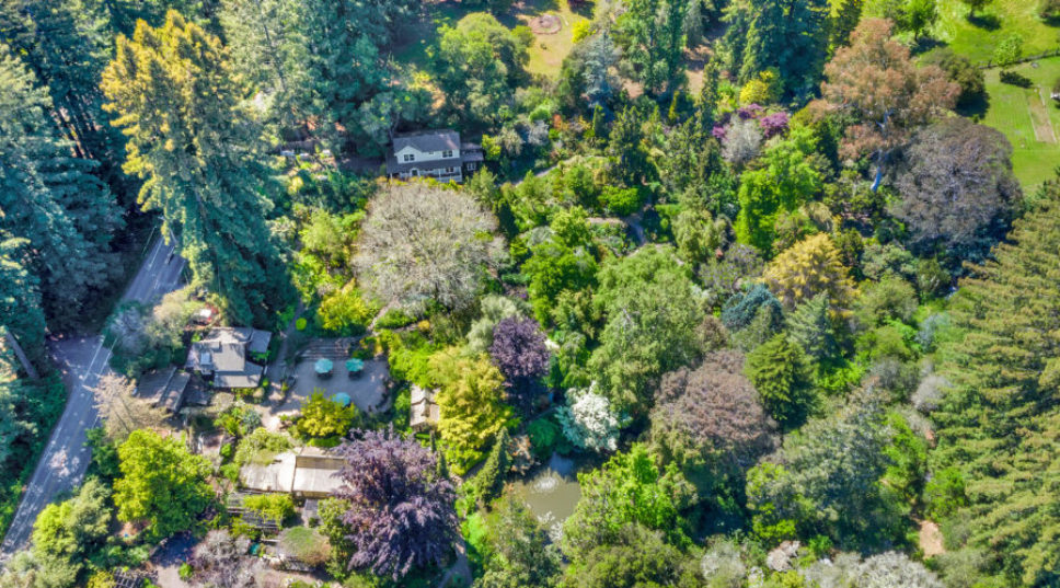 An Iconic Garden Is for Sale: Why I Dream of Buying This California Landmark