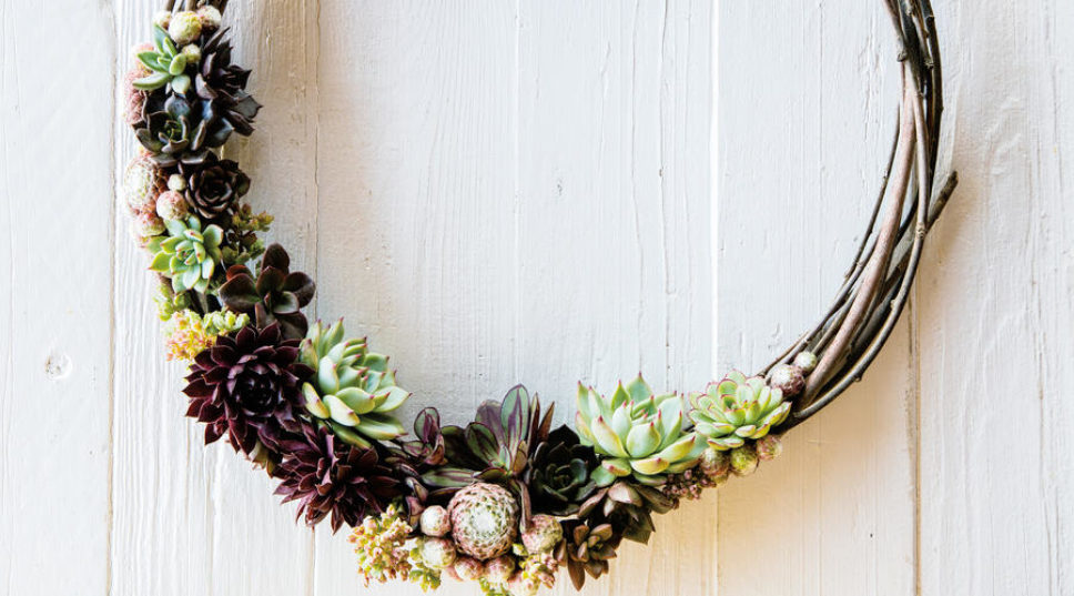 How to Make a Succulent Wreath