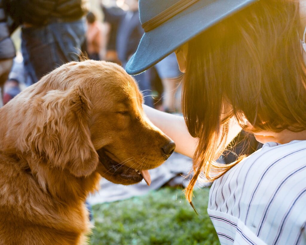 These Are the Best Pet-Friendly Hotels in the West with Amazing