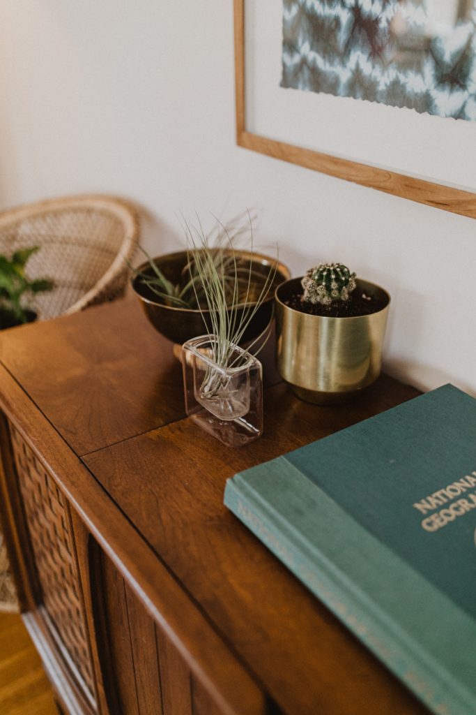 Air plant on dresser