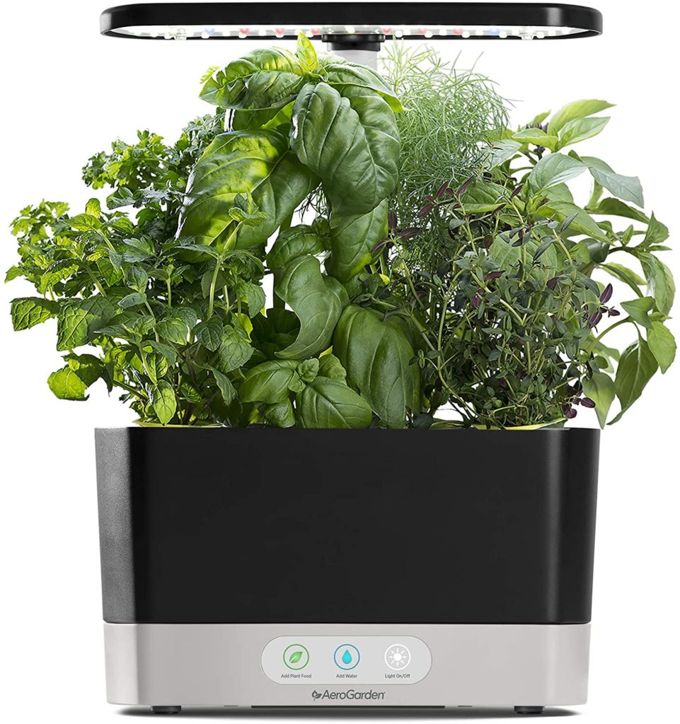 AeroGarden Harvest pictured with a variety of herbs.