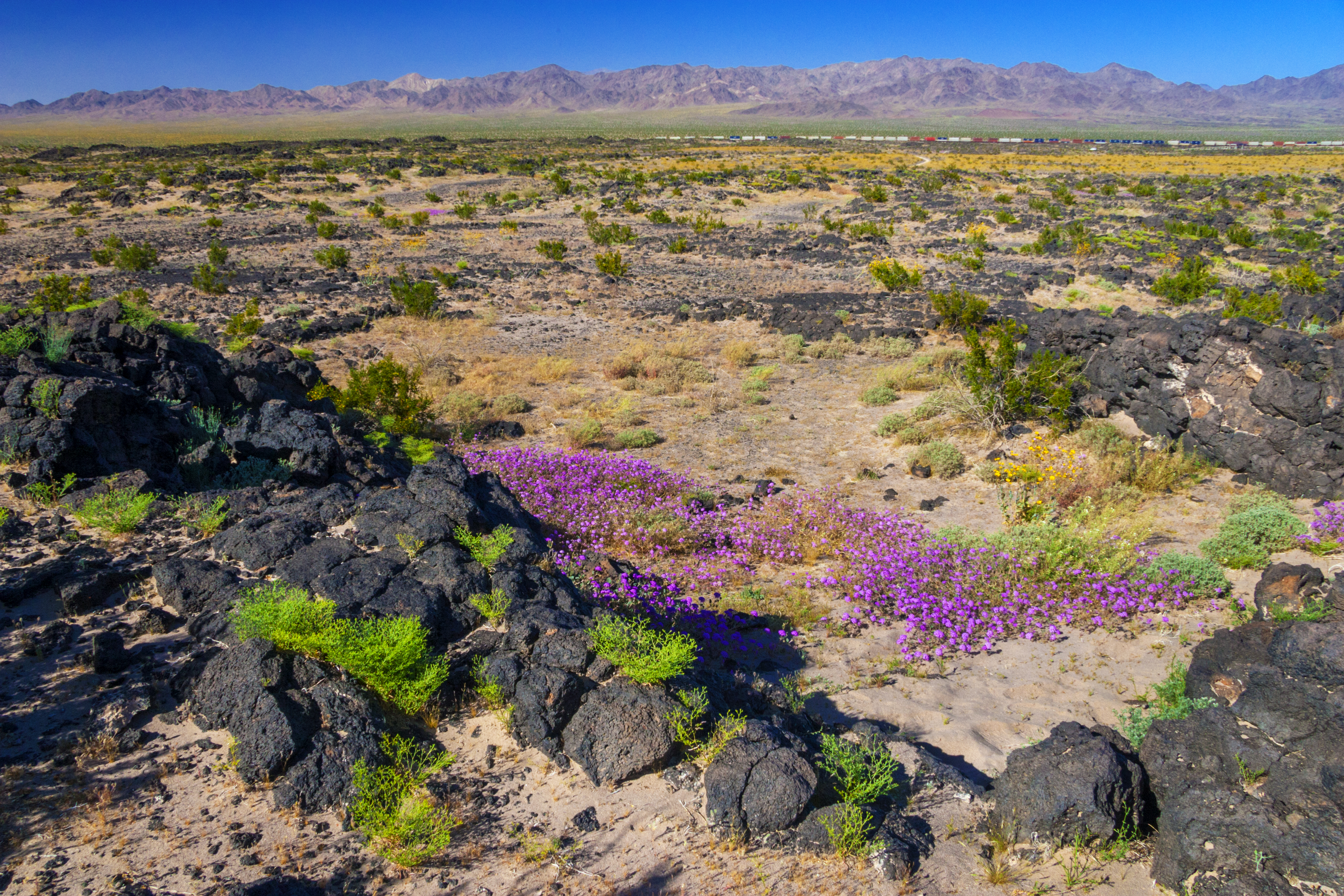 Amboy Crater, CA