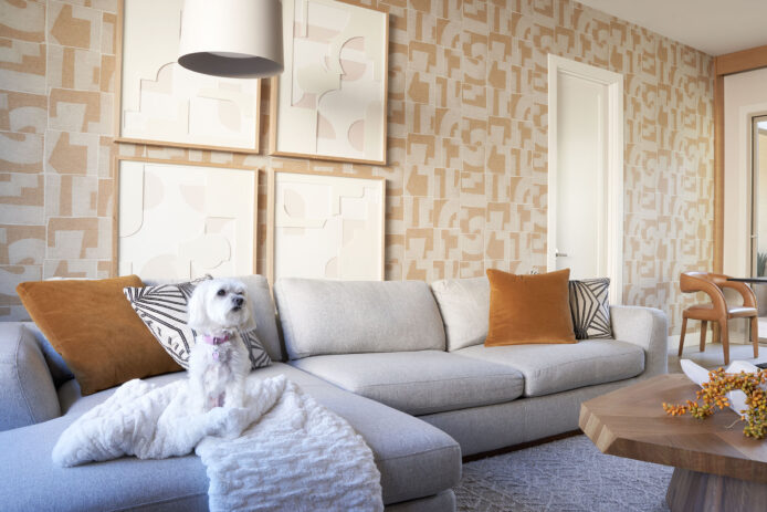 Anita Lang Living Room