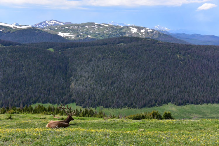 Rocky Mountain National Park, CO