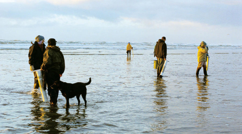 Day Trip to Westport, Washington