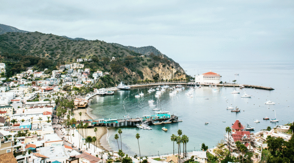 8 Reasons to Visit Catalina Island