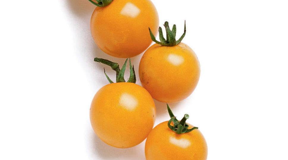 5 Best Cherry Tomatoes