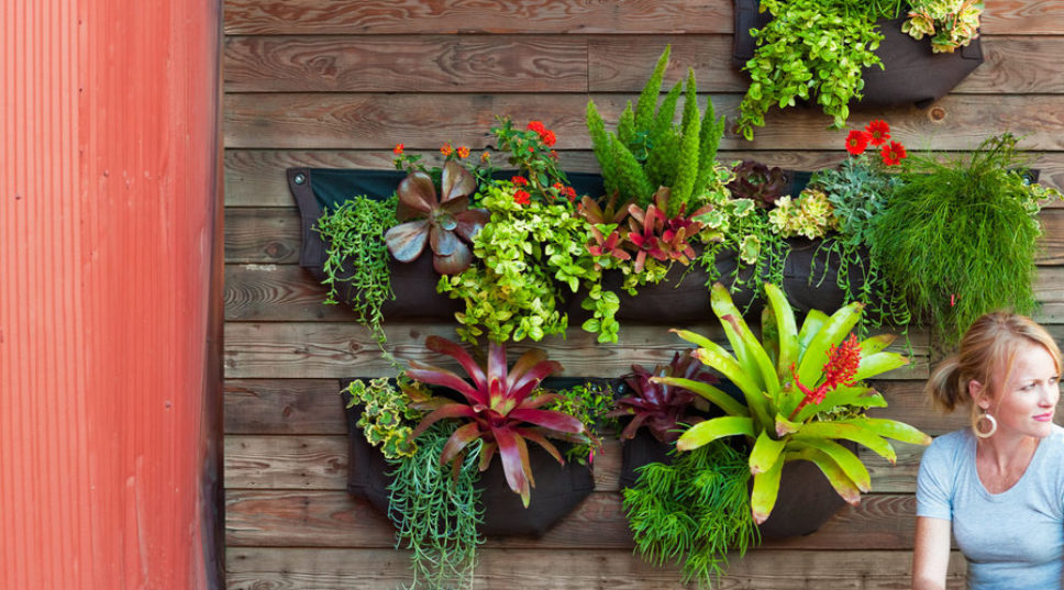 How to Make a Hanging Plant Display
