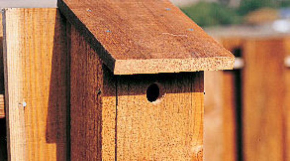 Build a better birdhouse