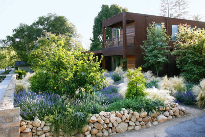 Designing With Drought Resistant Plants, How Much Does Drought Tolerant Landscaping Cost