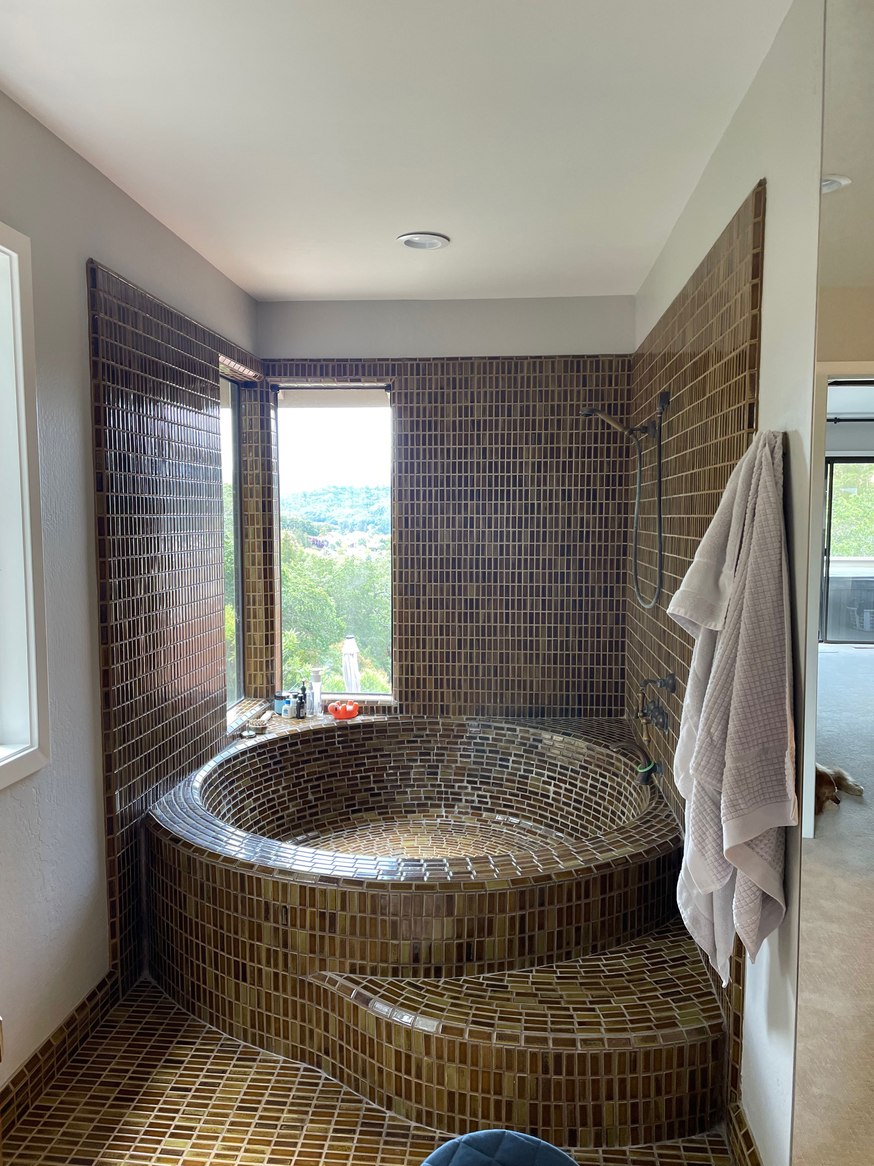An Outdated, Carpeted '70s Bathroom Gets a Spa Makeover - Vimarsana News