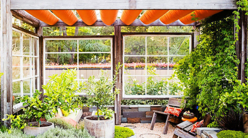 The 10 Best Plants to Grow in a Greenhouse