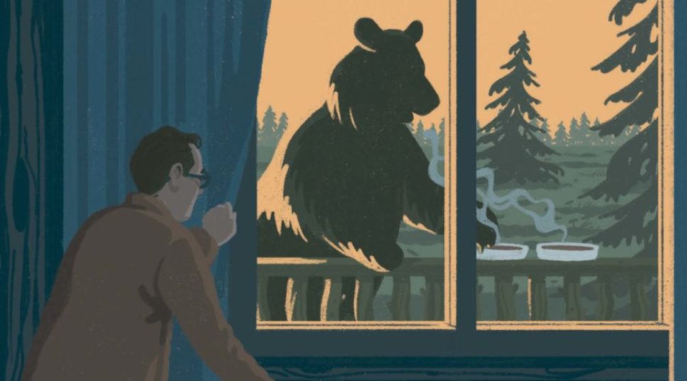 What to Do if You Encounter a Black Bear in the Wild