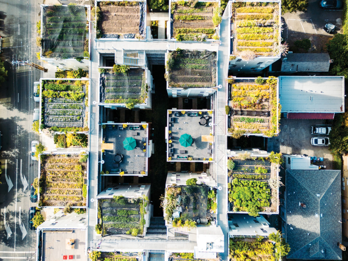 Bluma Farm Rooftop Garden Aerial View