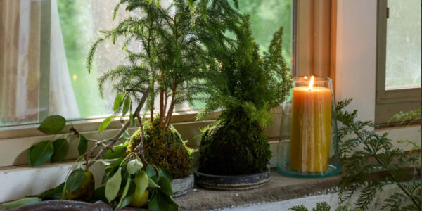 Botanical Holiday Decor Is Trending. Here Are 6 Ideas You Can Repurpose into the New Year.