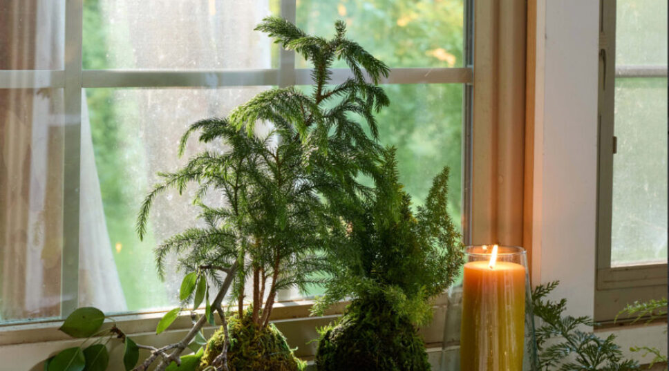Botanical Holiday Decor Is Trending. Here Are 6 Ideas You Can Repurpose into the New Year.