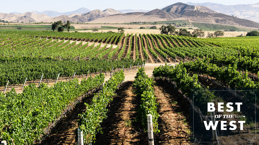 Solvang Rusack Vineyards Santa Ynez Valley