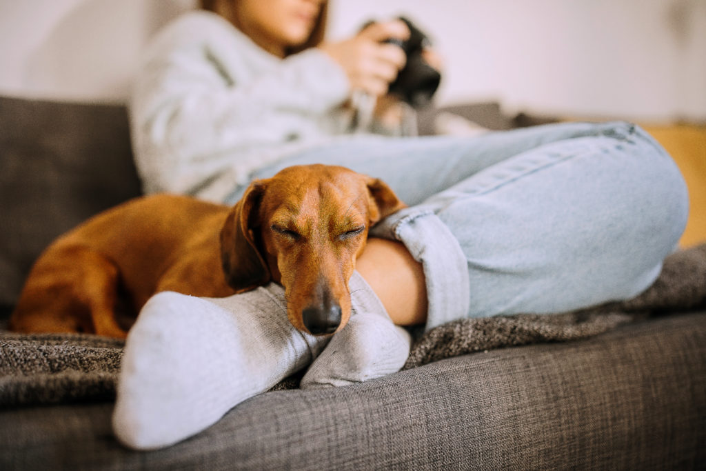 Woman Relaxing With Her Dachshund