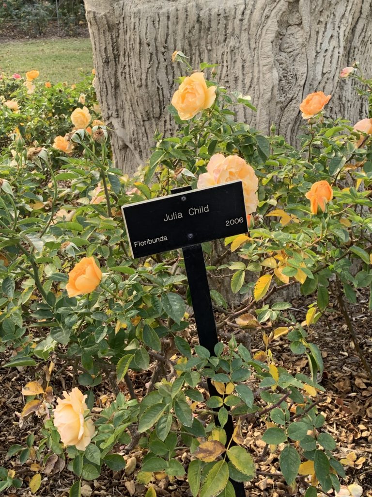 The Huntington Rose Garden