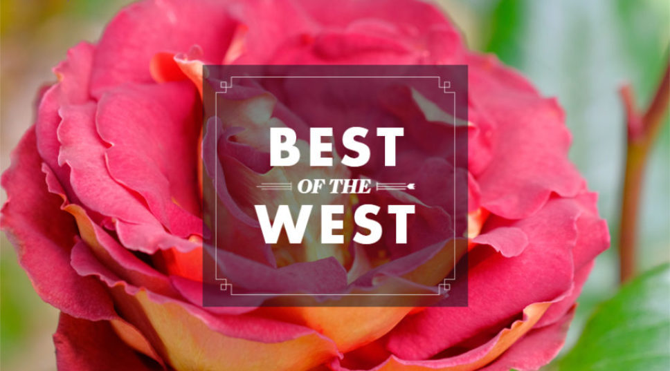 Buy Her a Garden, Upgrade Her Bubbly, and 9 More Things to Do for Mom This Mother’s Day