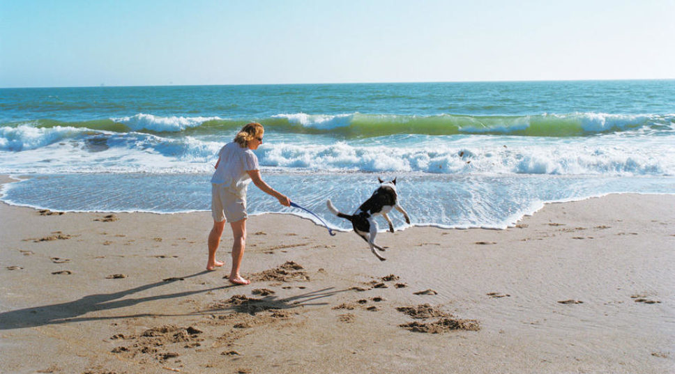 One Perfect Day in Oxnard, CA