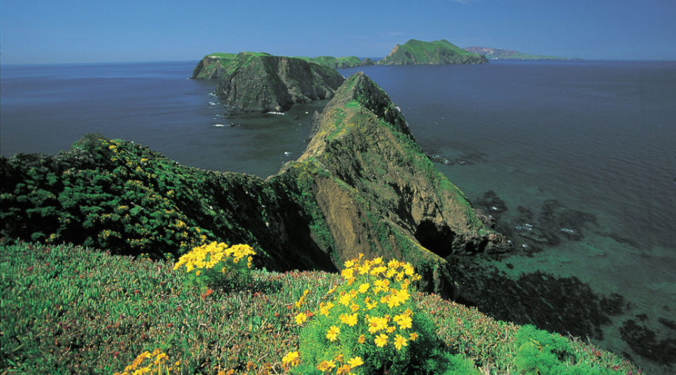 Top Wow Spots of Channel Islands National Park