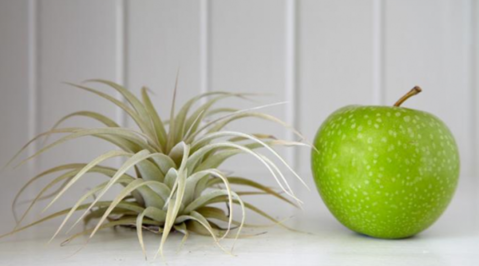 6 Stories We're Loving This Week