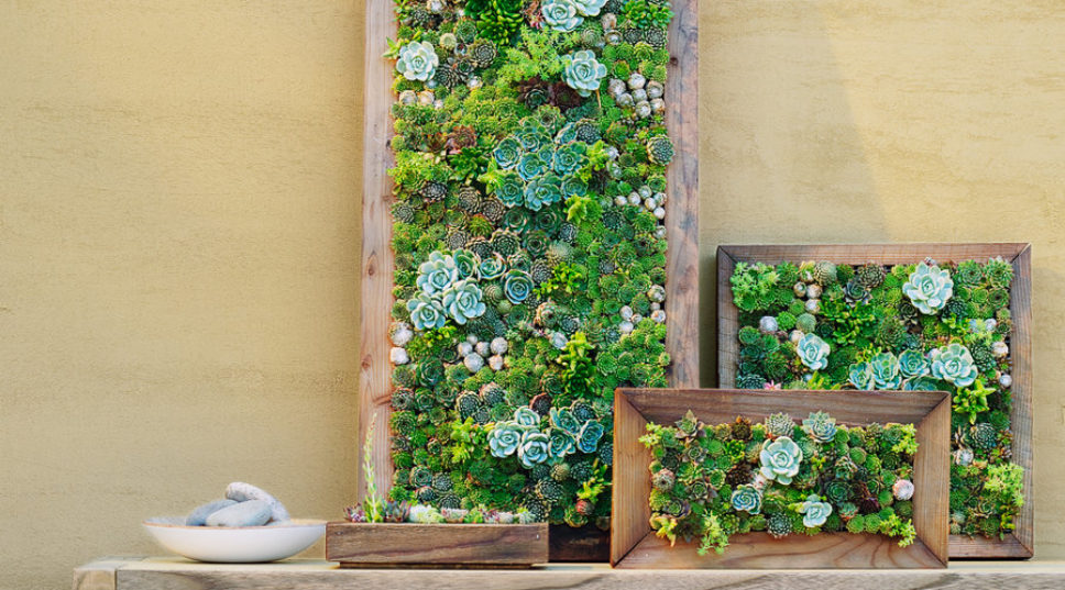 Make This: Easy DIY Succulent Wall Planters