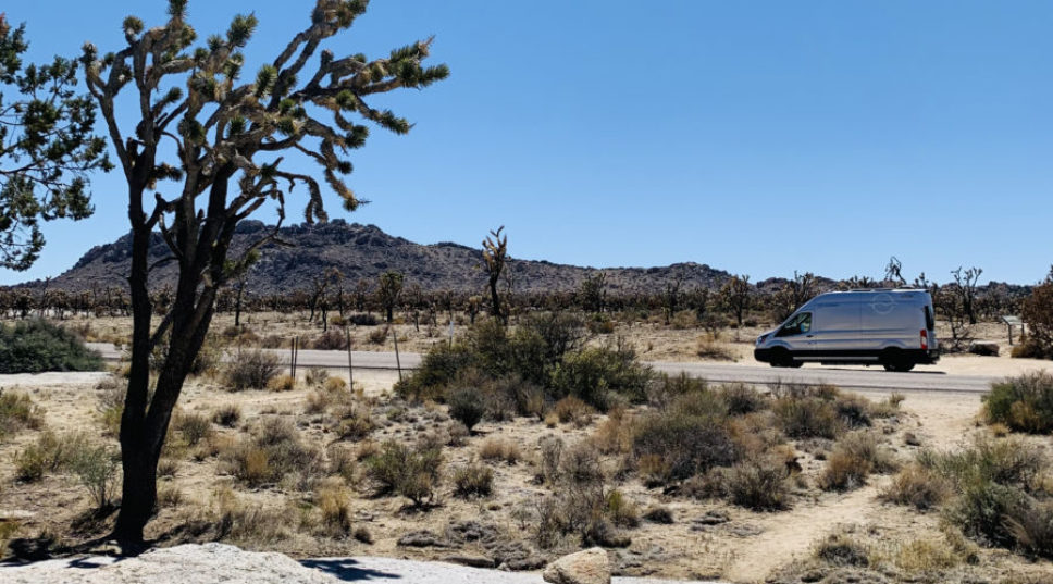 Best Way to See the Mojave Desert? Try a Camper Van