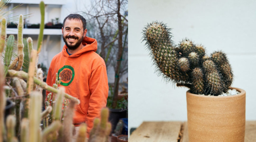 Everywhere There Are Spikes: An Exclusive Peek at One of the World’s Greatest Cactus Collections