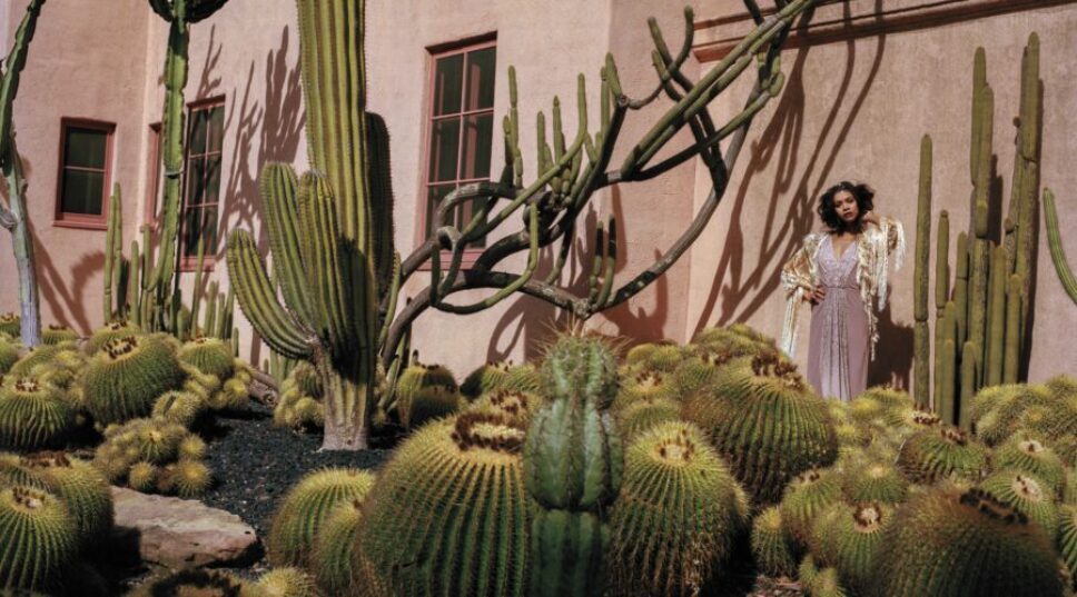 This Beautiful New Book Captures the Essence of the California Dream 