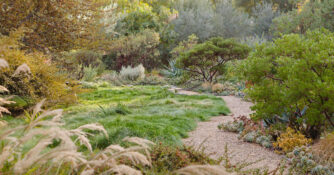 California Natives Fall Garden