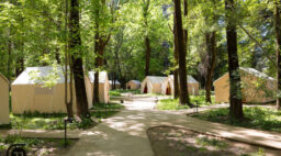 Campgrounds The River Electric