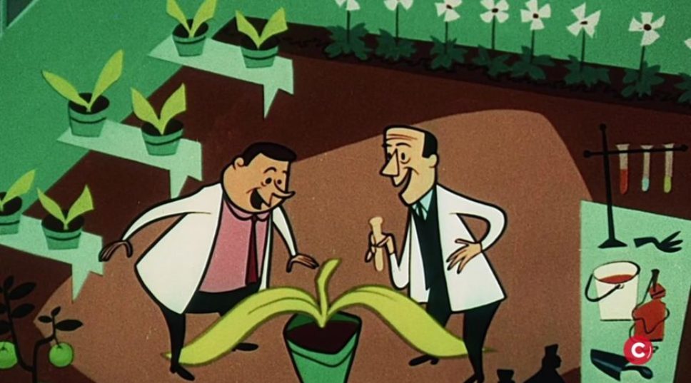 Finding California olive oil