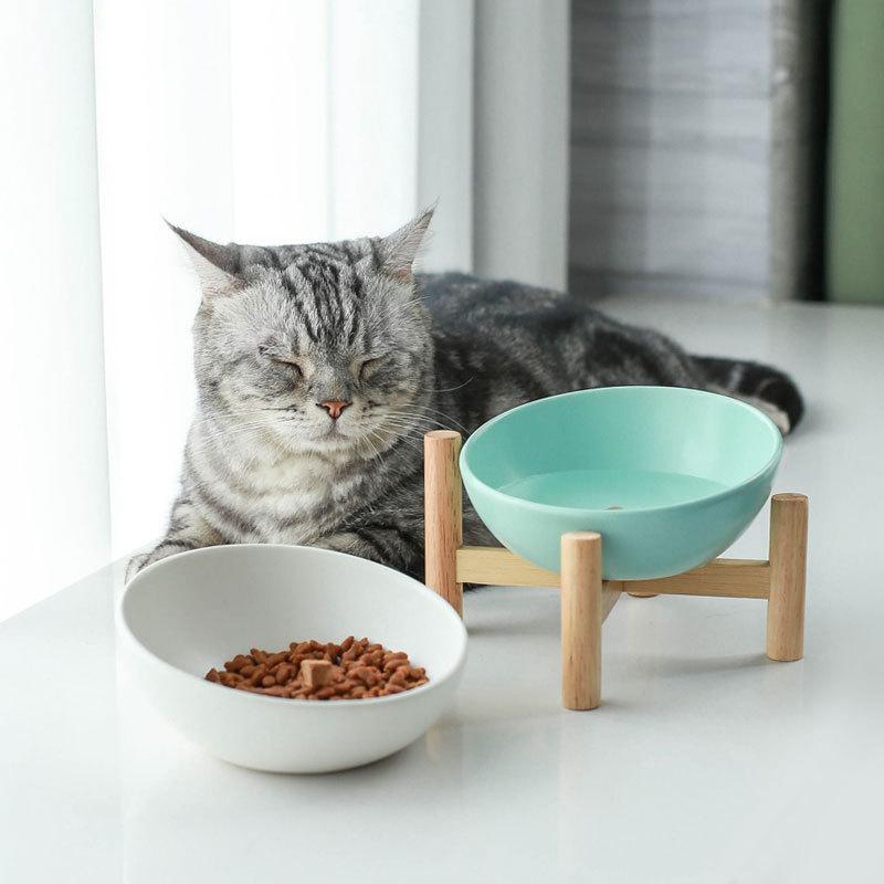 ceramic tilted pet food bowl