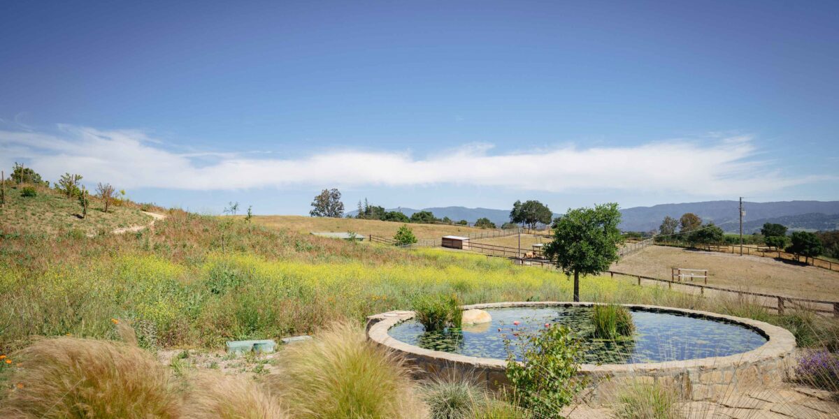 Certified Wildlife Habitat Yard