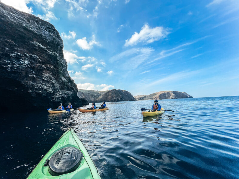 Channel Islands Adventure Company Kayaking