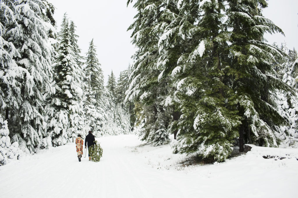 Best Christmas Tree Farms in Oregon, Washington, and Beyond Sunset