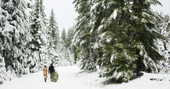 Couple walking with pine tree in national forest while cutting down Christmas tree