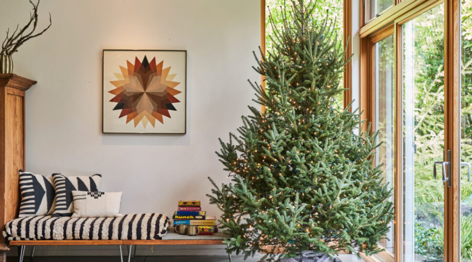 8 Ways You Can Repurpose Your Christmas Tree in the Garden