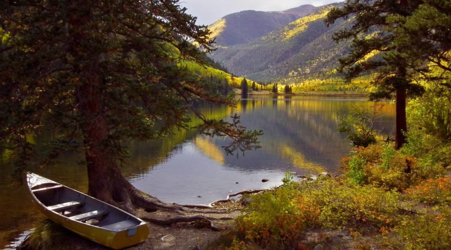 Best fall color in Colorado at Cottonwood Lake, Buena Vista