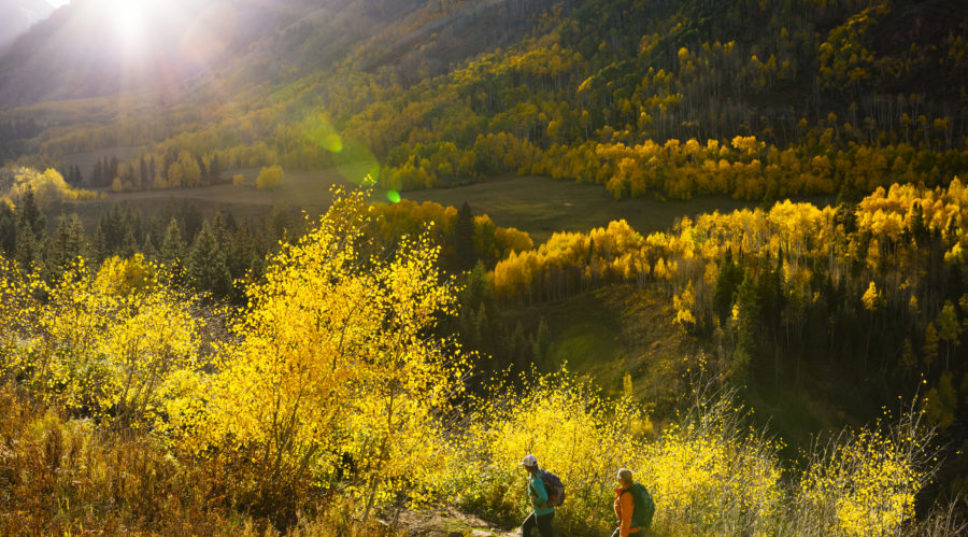Colorado's Fall Color Will Be the Best in Years—Here’s Where to See It