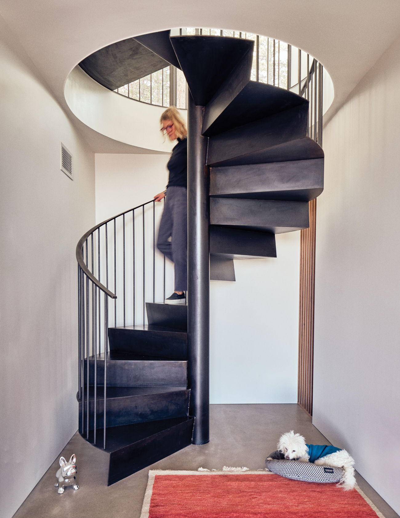 Colorado Modern House Spiral Staircase