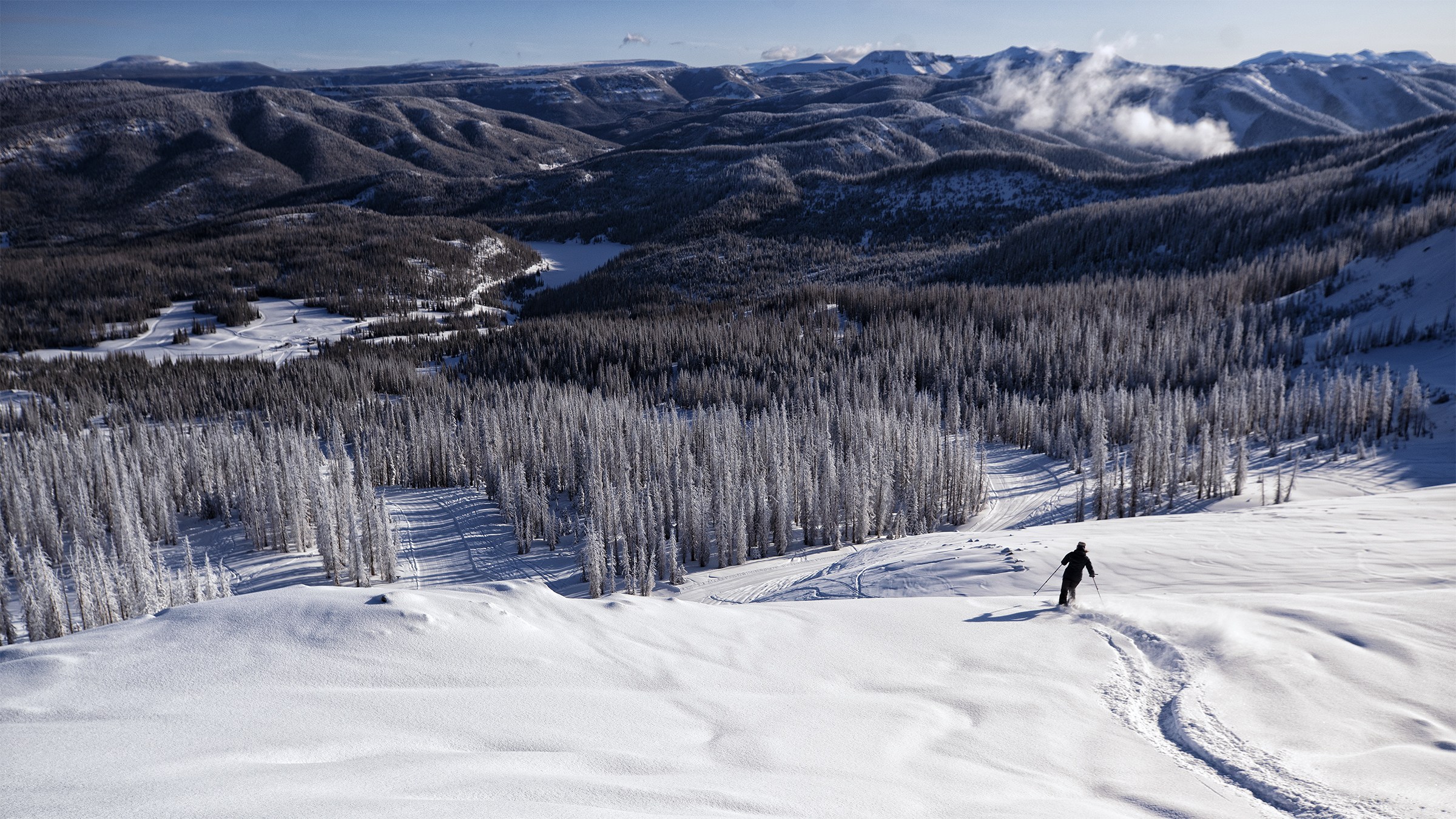 Skier riding down mountain toward rime covered trees at Wolf Creek