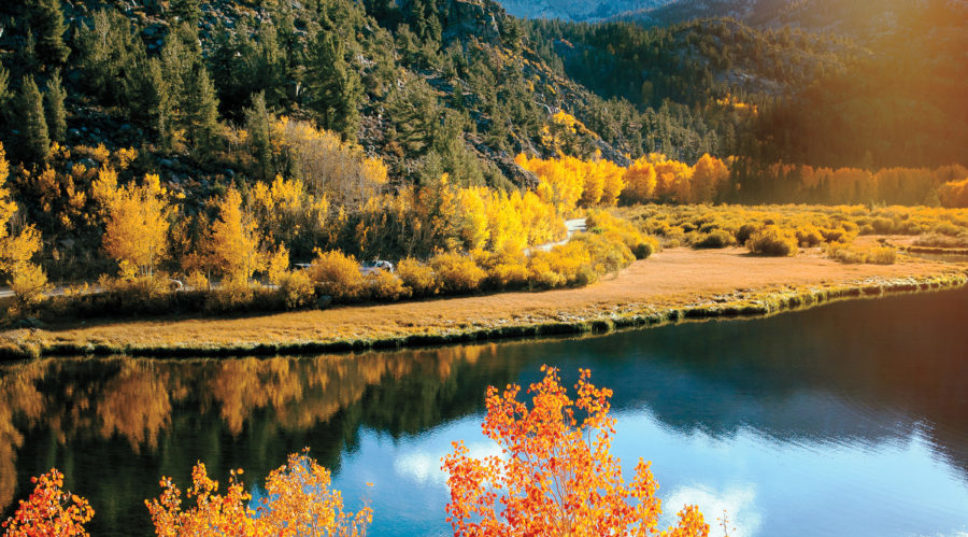 For Eye-Popping Leaf Peeping, Visit These Sierra Towns