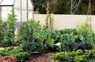 Cornerstone Vegetable Garden Trellis