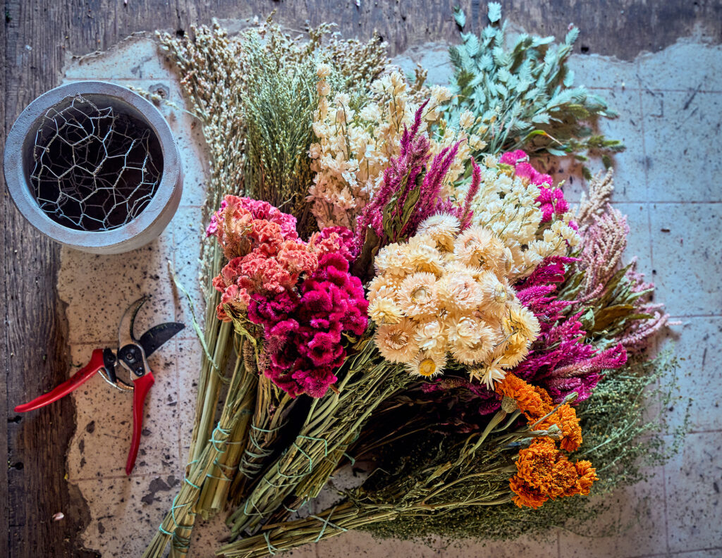 Corona Clippers Dried Flowers Still Life Full Belly Farm