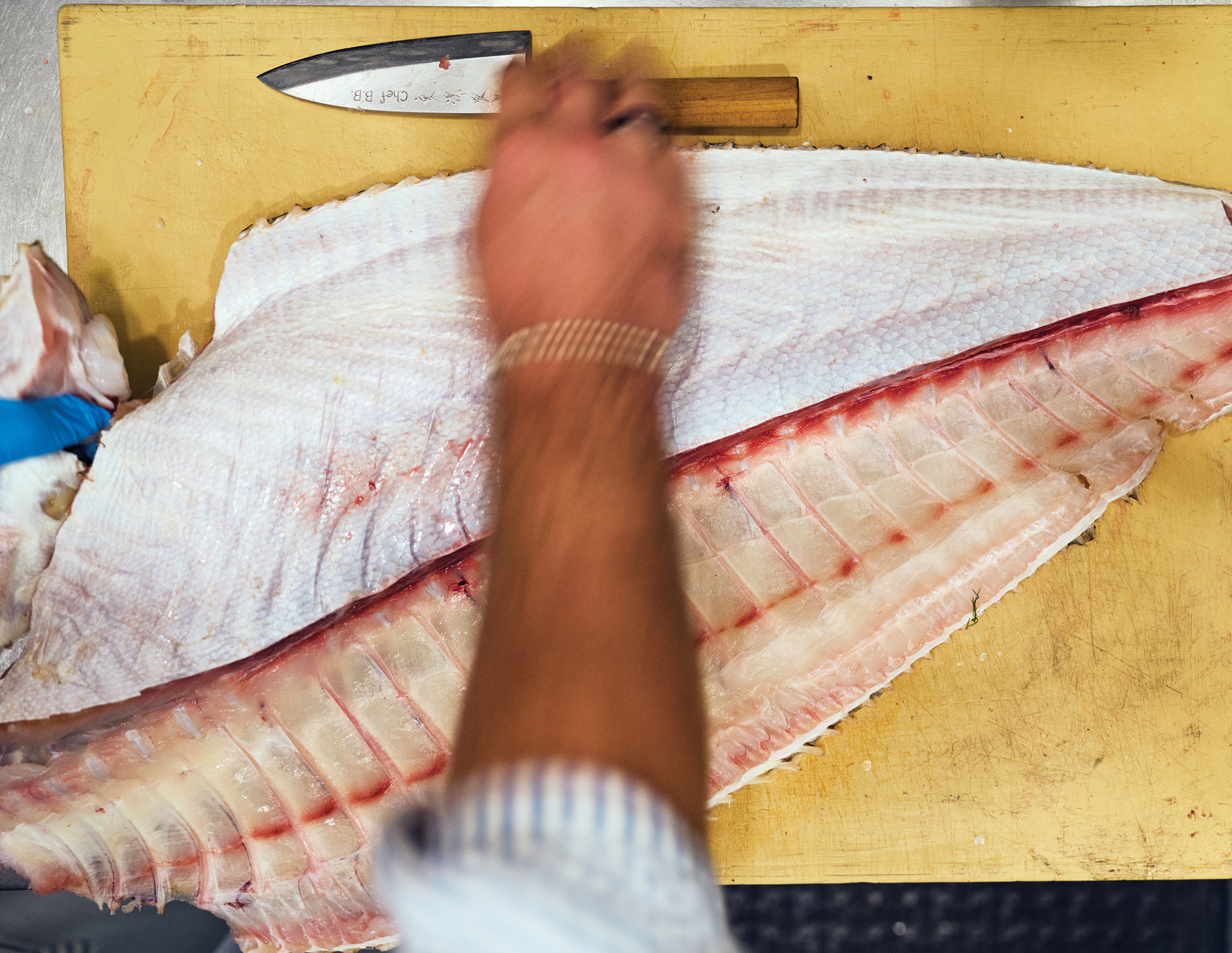 Crudo e Nudo Fish Fillet